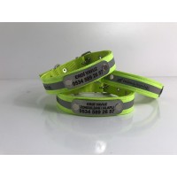 Fosforlu İsimlikli Köpek Tasması